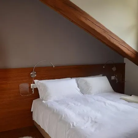 Orma ألانيا فالسيزيا